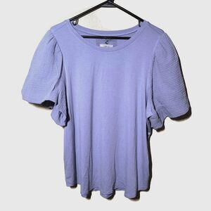 Cupio Purple Gauze Poplin Short Sleeve Top 1X